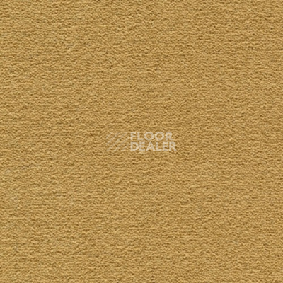Ковролин Creatuft Sheba 1090 Gold 4+5m фото 1 | FLOORDEALER